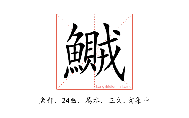 鱡