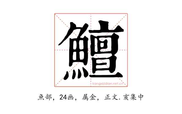 鱣