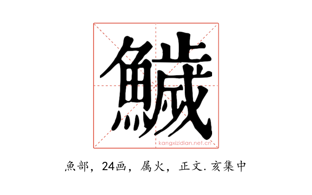 鱥