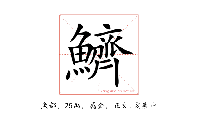 鱭