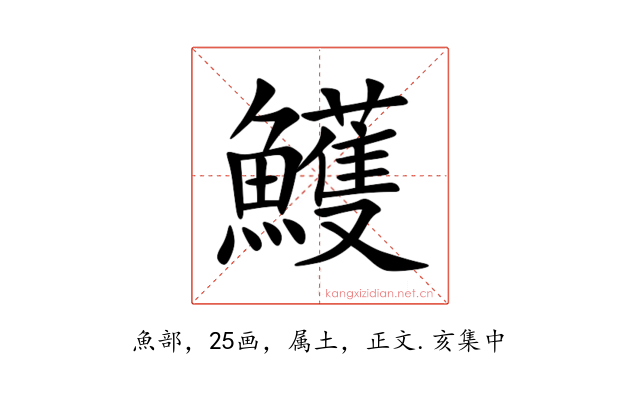 鱯