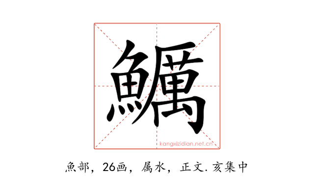 鱱