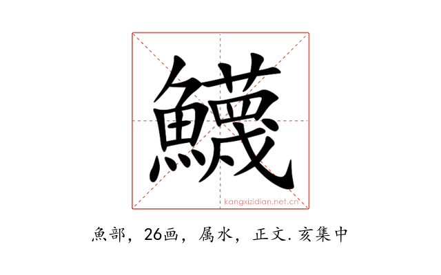 鱴