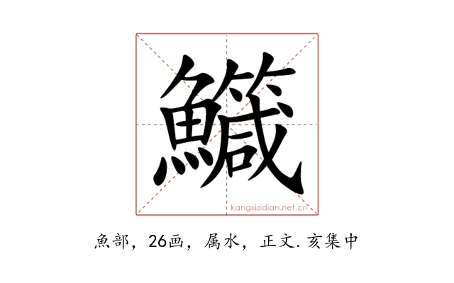鱵