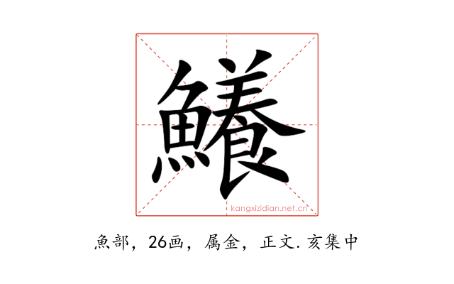 鱶