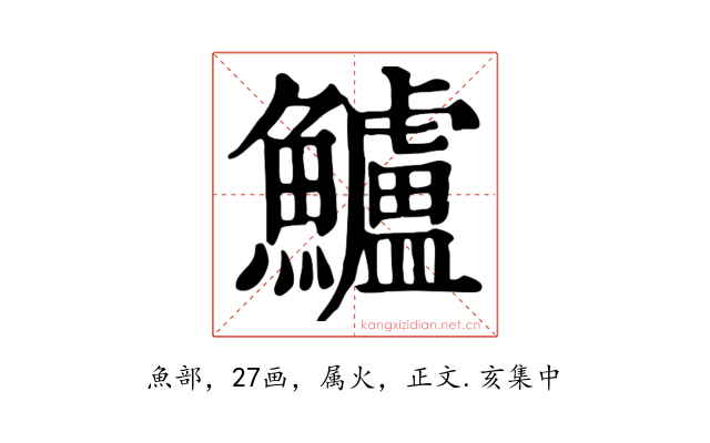 鱸