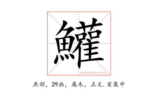 鱹