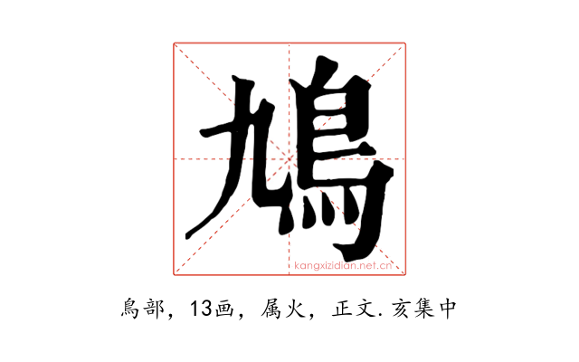 鳩