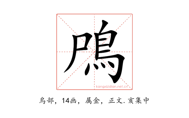 鳲