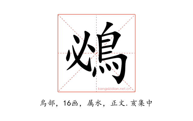 鴓