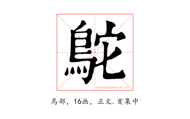 鴕
