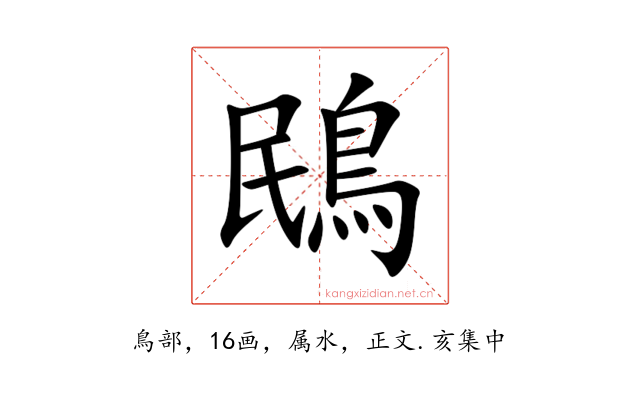 鴖