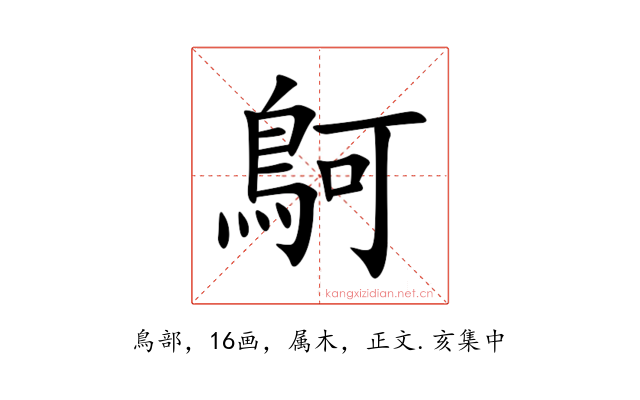 鴚