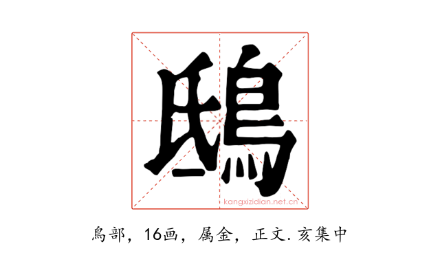 鴟