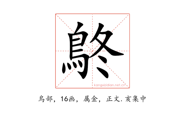鴤