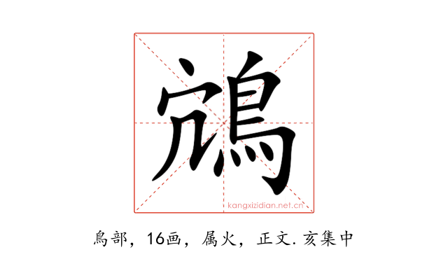 鴧