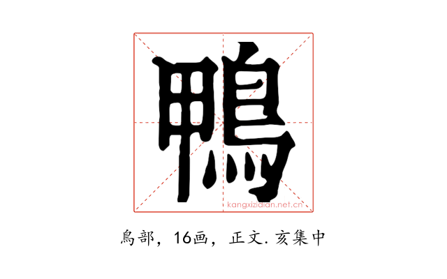 鴨