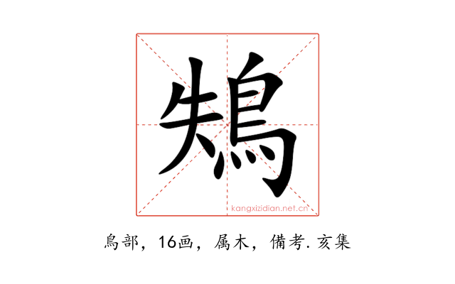 鴩