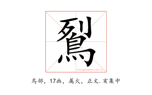 鴷