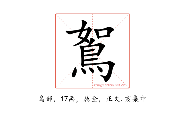鴽