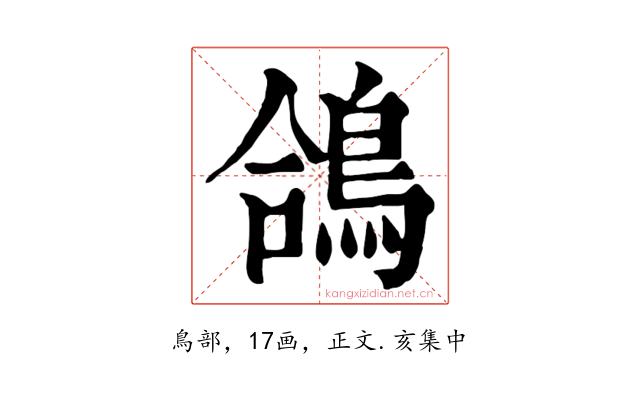 鴿
