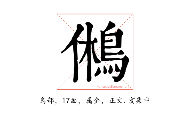鵂