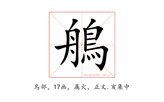 鵃