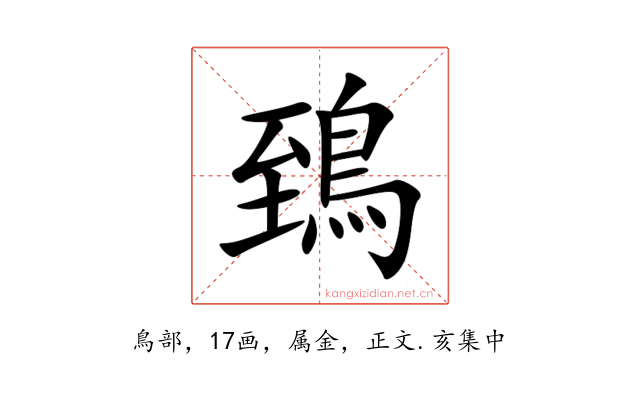 鵄