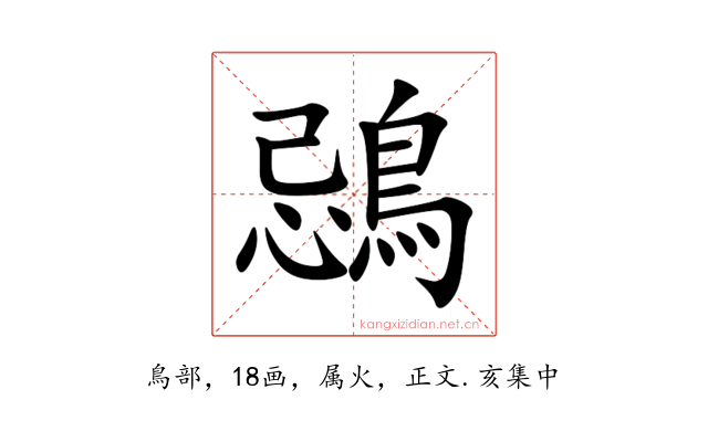 鵋