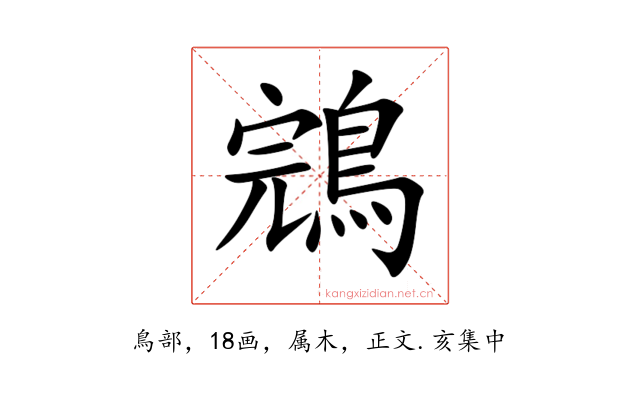鵍
