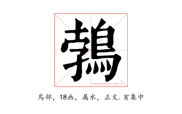 鵓