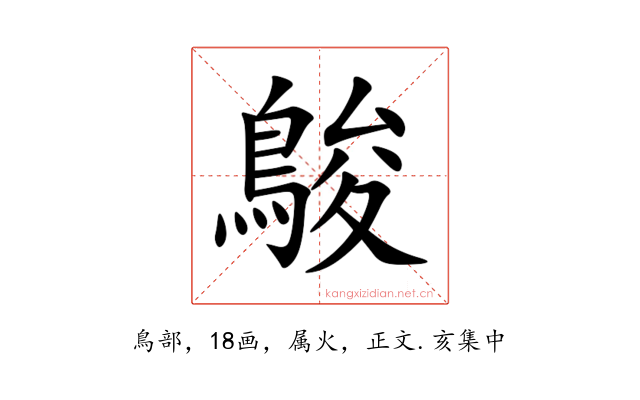 鵔