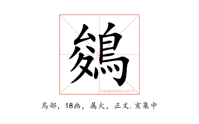 鵕