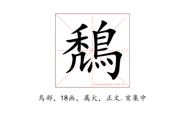 鵚