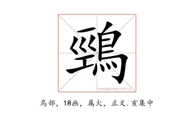 鵛