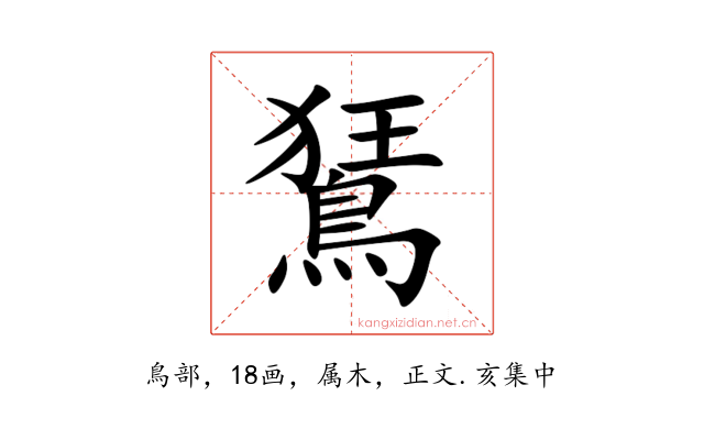 鵟