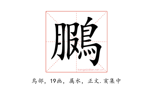 鵩
