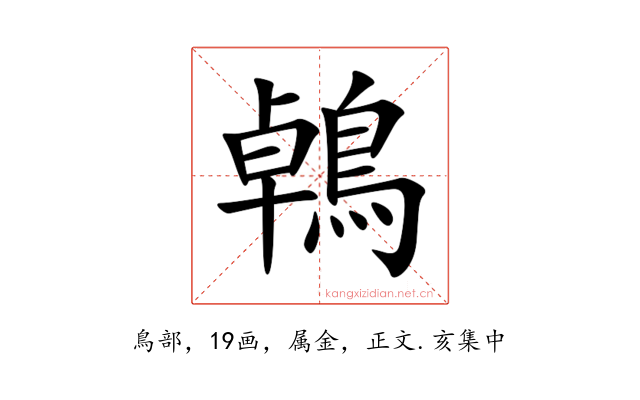 鵫