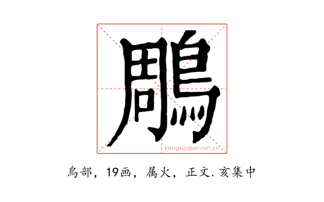 鵰