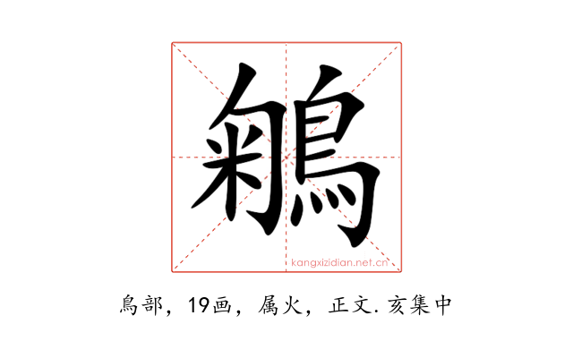 鵴