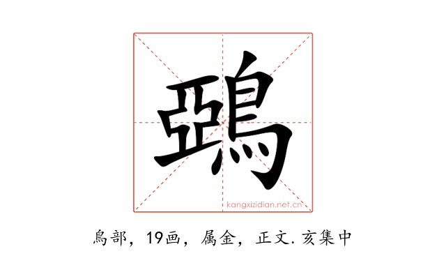 鵶