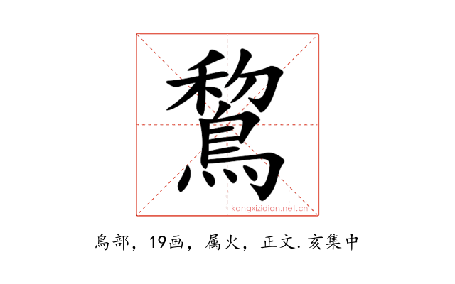 鵹