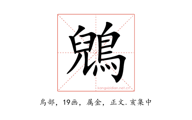 鶂