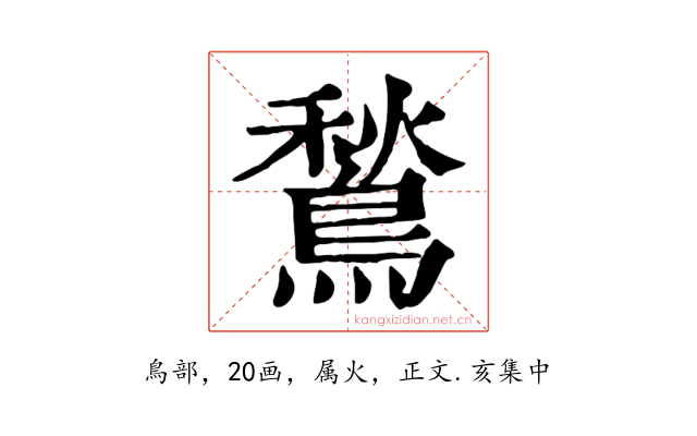 鶖