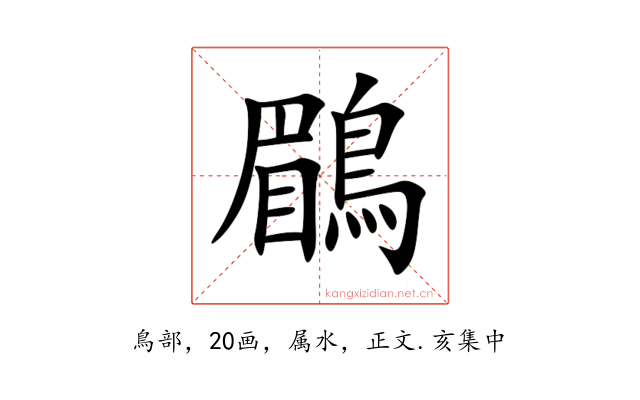 鶥