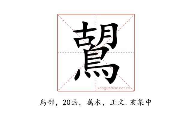 鶦