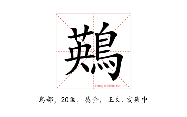 鶧