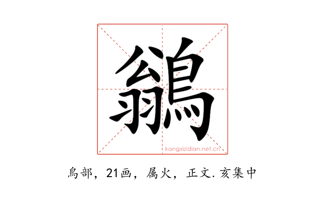 鶲