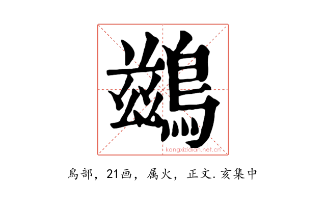 鷀