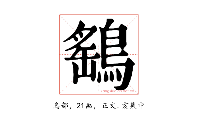 鷂